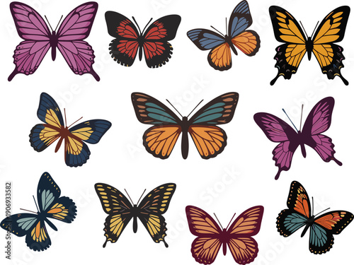 Colorful butterfly vector illustration set, diverse wing patterns with decorative designs, exotic nature artwork, vibrant insect collection for educational, artistic, decorative themes