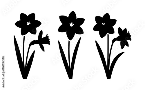 Three black silhouettes of daffodils on a white background