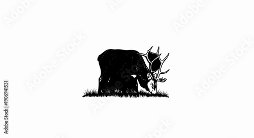 Majestic stag with large antlers grazes peacefully in tall grass