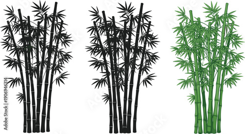 Bamboo Plants Vector Illustration Collection with Black Silhouettes and Green Stems for Zen Nature Background Oriental Garden and Tropical Design