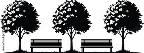 Black and white minimalist park landscape vector illustration featuring three stylized trees and two wooden benches on a flat horizon. (