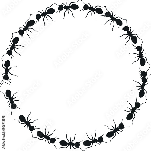 A circular formation of black ants arranged around a central empty space
