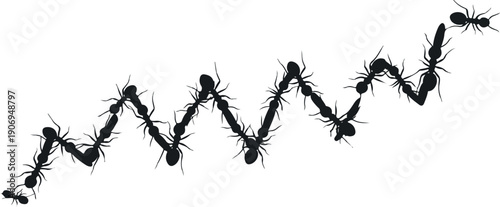 A group of ants marching in a line on a white background from a top view