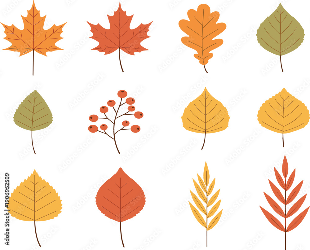 Naklejka premium Autumn leaves collection with maple oak and birch foliage, colorful fall botanical elements flat cartoon vector illustration isolated on white background