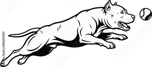 Muscular dog in mid-air, chasing after a tennis ball