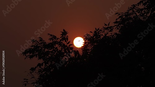 halloween night background SUNSET 