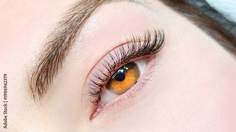 Obraz premium close up of eye with eyelash extensions in beauty salon macro eye top view.