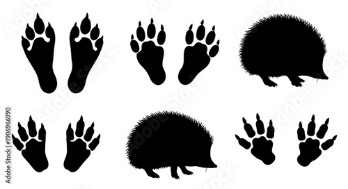 Hedgehog and Paw Print Silhouettes.