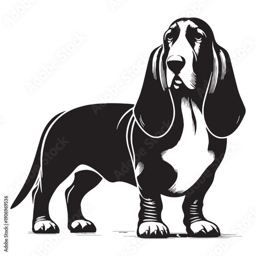 Adorable Basset Hound Dog Vector Silhouette Illustration Featuring Long Ears Short Legs Gentle Expression Perfect For Logos Stickers T-Shirts Posters Prints Social Media Branding Pet.