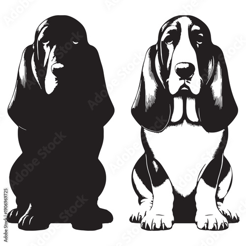 Adorable Basset Hound Dog Vector Silhouette Illustration Featuring Long Ears Short Legs Gentle Expression Perfect For Logos Stickers T-Shirts Posters Prints Social Media Branding Pet.
