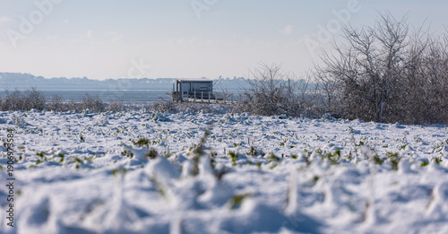 Carrelet enneigé de la Baie de Yves, Charente Maritime, France