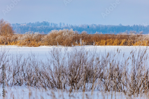 Wallpaper Mural Snow-covered landscape with frozen river and frosted trees in the background, showcasing a serene winter scene in a rural area Torontodigital.ca
