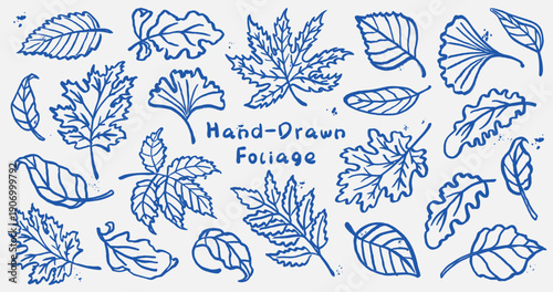 Set of grunge outlined foliage sketches in blue. Various leaf shapes including maple, oak, ginkgo, and chestnut. Leaf elements in brush stroke ink style. Forest autumn harvest design elements.