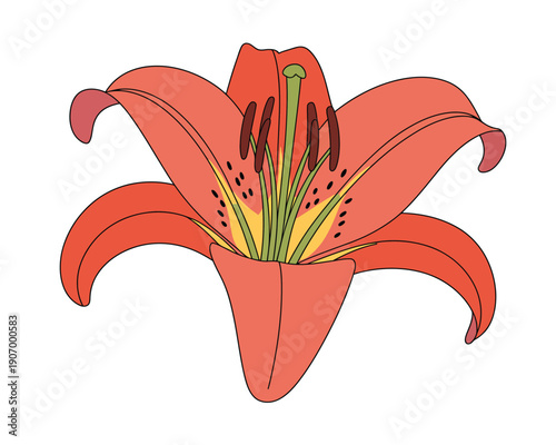 A vibrant orange lily flower with yellow and green center