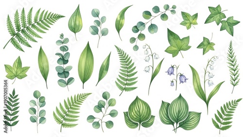 Collection of various green leaves and ferns in a botanical illustration style, showcasing different textures and shapes on a clean background from a top-down viewpoint.