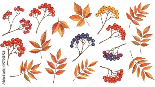 Vibrant collection of autumn leaves and berries arranged in a visually appealing pattern from a top-down viewpoint