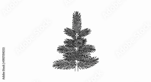 Simple line drawing of a green conifer tree
