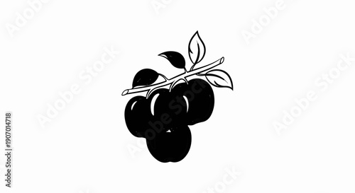 Simple illustration of dark, ripe fruit on a branch with leaves
