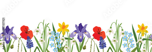 A beautiful floral seamless border or horizontal card of spring blossoms including irises, poppies and forget-me-nots. Ideal for botanical designs, seasonal decorations, and garden-themed projects.