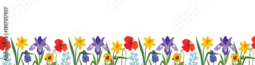A beautiful floral seamless border of spring blossoms including blue muscari, irises, poppies and forget-me-nots. Ideal for botanical designs, seasonal decorations, and garden-themed projects.
