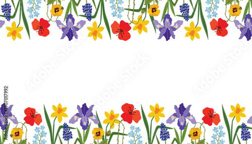 Spring flower border featuring irises, poppies, daffodils, pansies, and muscari. Horizontal floral frame or poster isolated on a white background for seasonal designs and banners.