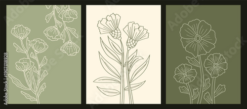 Bohemian style botanical illustrations with delicate floral outlines. Set of three minimalist botanical posters with hand drawn floral line art