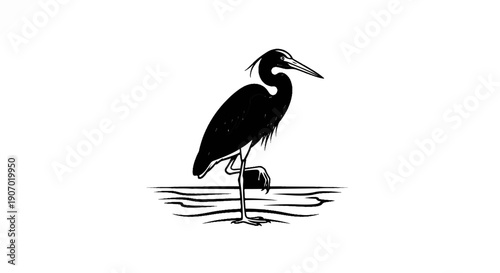 Silhouette of a wading bird standing on one leg in shallow water