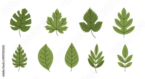 Set of ten diverse green leaf shapes with detailed vein patterns representing various tree species and plant types.