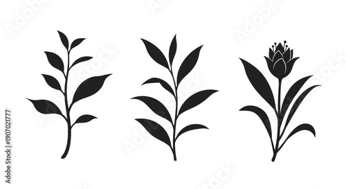 Three elegant black silhouettes of botanical branches and a flowering plant isolated on a white background for minimalist design.