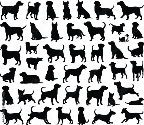 Collection of dog silhouettes in various poses and breeds on a white background dogs canine
