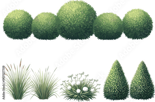 Set of decorative garden bushes and plants, green hedge shrubs, ornamental grass, flat vector nature elements isolated on white background
