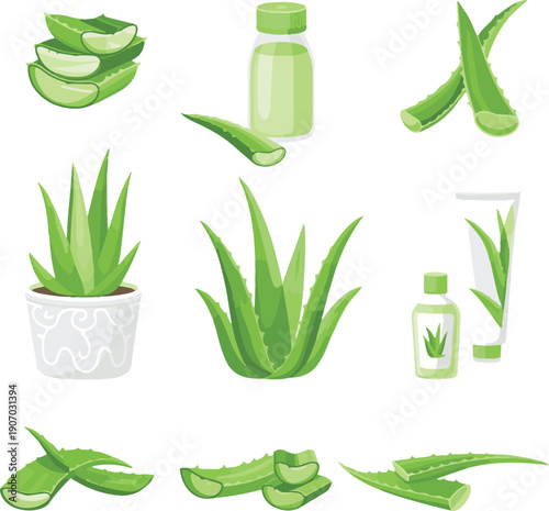 vector set of aloe vera