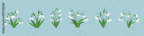 Snowdrop flowers set with green leaves on blue background. Early spring botanical illustration in flat style