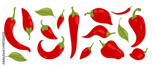 Big set red chili peppers and green leaves isolated on white. Flat illustration spicy vegetable for food design, restaurant menu, packaging, labels and hot sauce.