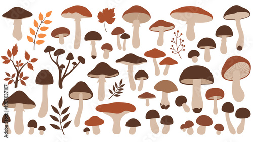 Diverse collection of forest mushrooms and autumn leaves in earthy tones for nature exploration and seasonal autumn design.