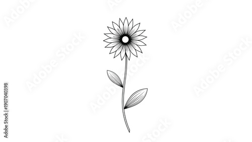 Simple black and white line drawing of a sunflower on a long stem with leaves provides classic botanical illustration.