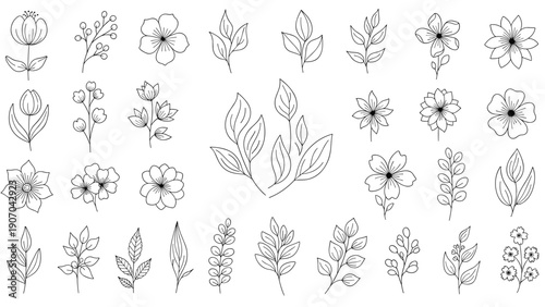 Assortment of various small floral and leaf illustrations in a black line art style provides a versatile collection of botanical elements for design.