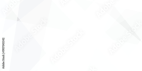 Abstract background with white and gray and geometric style with simple lines and corners design .