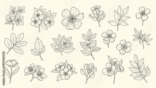 Extensive collection of twenty hand-drawn floral and leaf sketches on a beige background provides a rustic and natural design set.