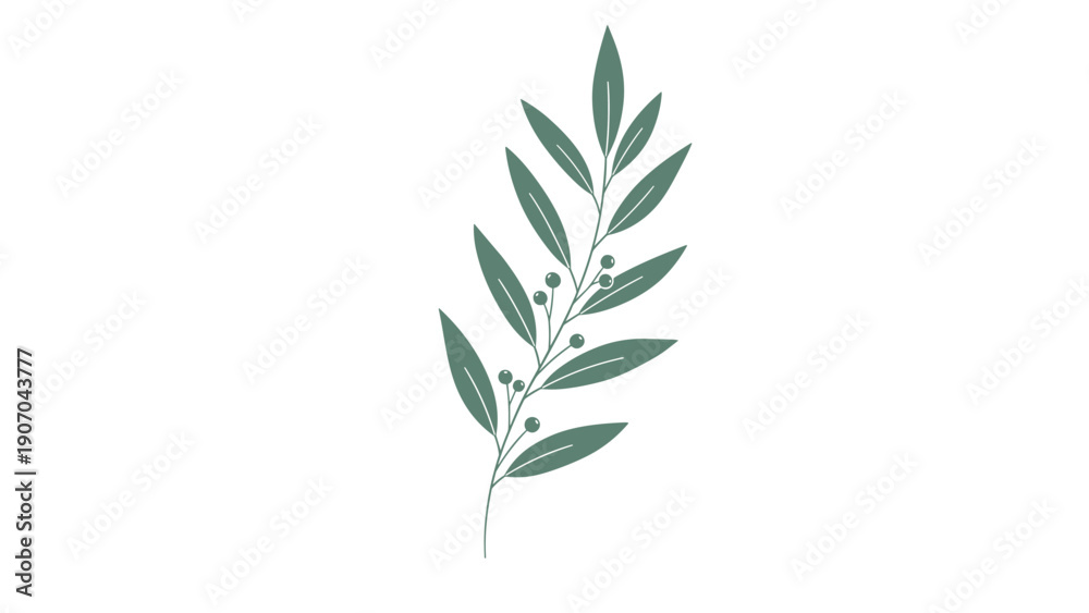 Fototapeta premium Simple green olive branch with small berries is illustrated as a minimalist graphic on a white background for clean decor ideas.