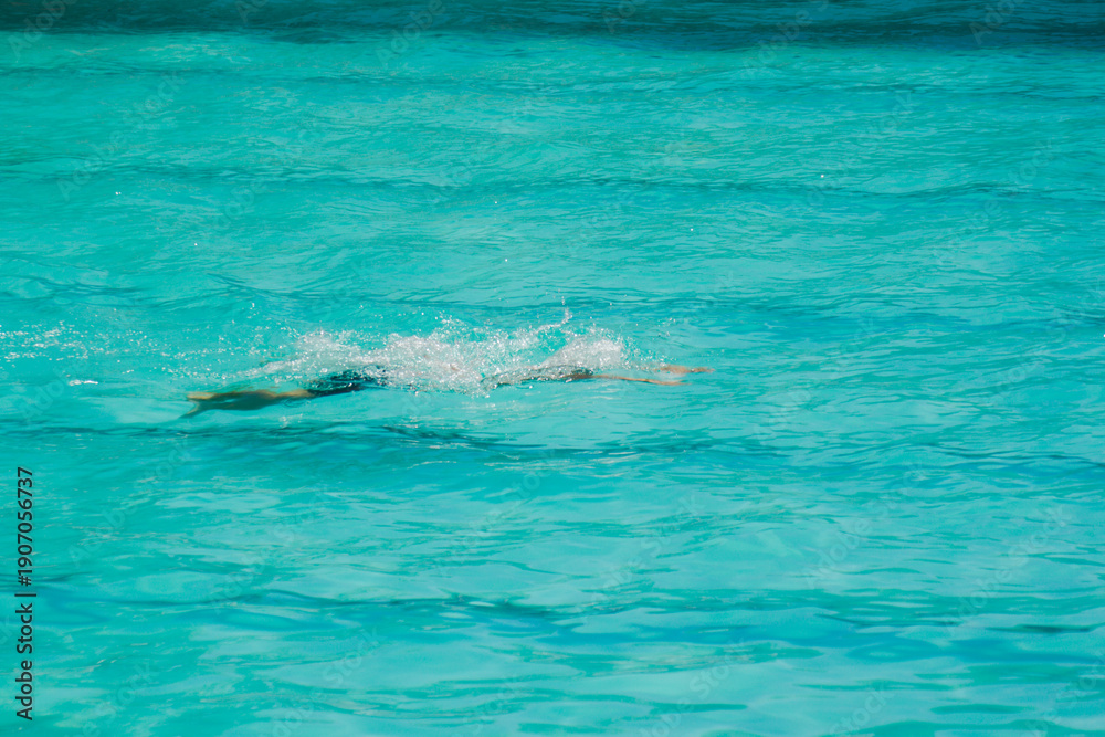 Obraz premium Asian child competing swimmer in the swimming pool