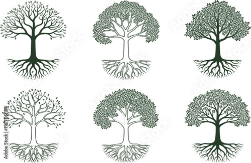 Detailed hand drawn vector illustration of a majestic peregrine falcon bird of prey with brown speckled feathers standing alert and isolated on a white background.