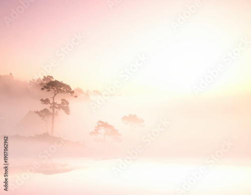 Serene Foggy Landscape at Dawn with Silhouetted Trees and Water