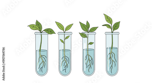 Green plant saplings growing in water inside four glass test tubes for scientific laboratory research.
