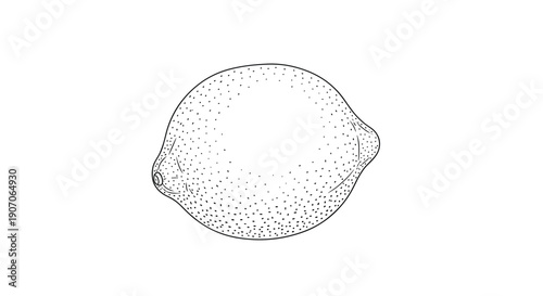 Hand-drawn vintage style engraving of a whole lemon fruit with a textured skin and classic organic shape for food art.
