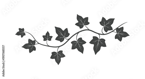 A delicate black and white illustration of a curving ivy vine with leaves