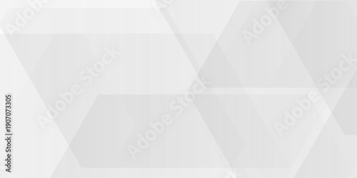 Abstract white background with hexagons . white Hexagonal Background Luxury White Pattern seamless bright white abstract honeycomb background 3D Futuristic abstract geometric mesh cell texture.