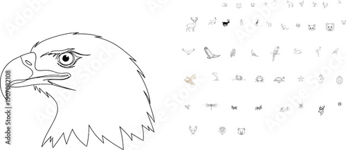 Black and white line drawing of eagle head