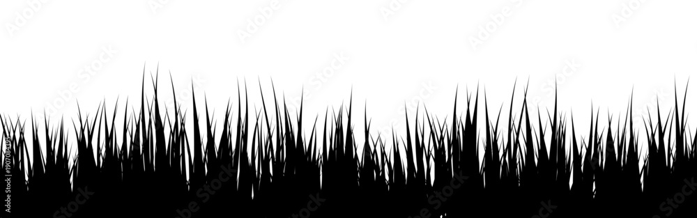 Obraz premium Meadow silhouette with grass, plants on plain. Panoramic summer lawn landscape with herbs, various weeds. Herbal border, frame element. Black horizontal banners. Vector illustration