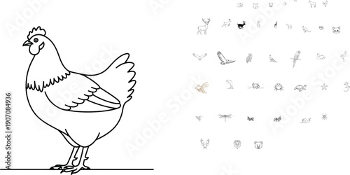 Simple line drawing of a chicken standing on the ground